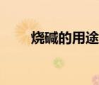 燒堿的用途初中化學（燒堿的用途）