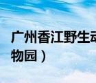 廣州香江野生動物園宣傳片（廣州香江野生動物園）