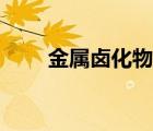 金屬鹵化物燈全套（金屬鹵化物燈）