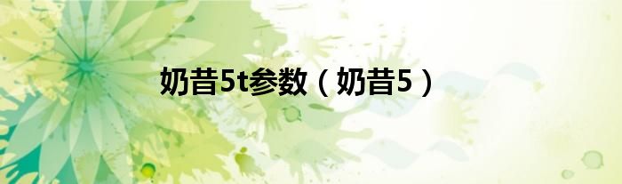 奶昔5t參數(shù)（奶昔5）