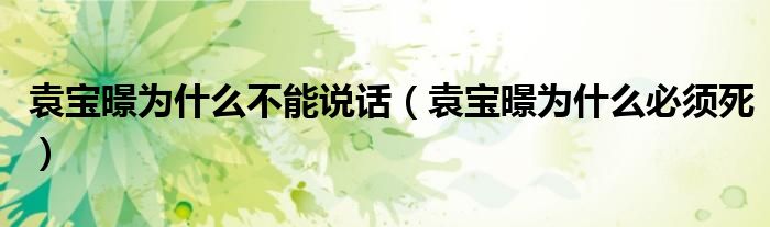 袁寶暻為什么不能說話（袁寶暻為什么必須死）