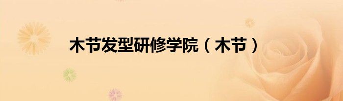 木節(jié)發(fā)型研修學院（木節(jié)）