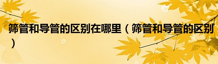 篩管和導(dǎo)管的區(qū)別在哪里（篩管和導(dǎo)管的區(qū)別）