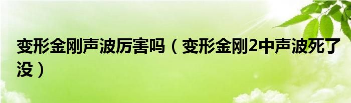 變形金剛聲波厲害嗎（變形金剛2中聲波死了沒）