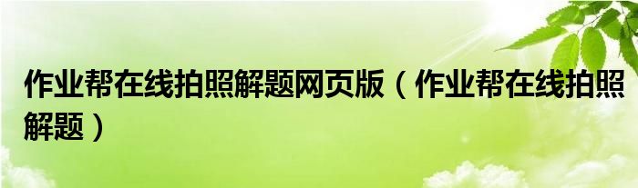 作業(yè)幫在線拍照解題網(wǎng)頁版（作業(yè)幫在線拍照解題）