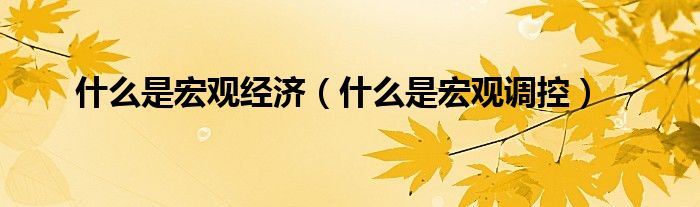 什么是宏觀經(jīng)濟(jì)（什么是宏觀調(diào)控）