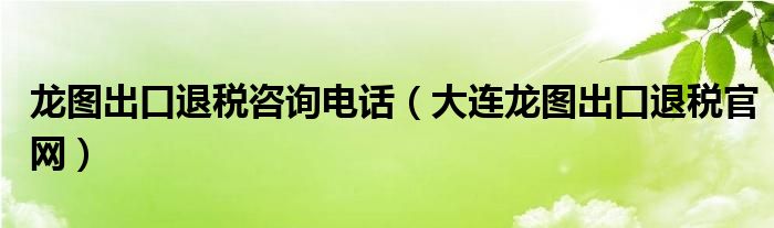 龍圖出口退稅咨詢電話（大連龍圖出口退稅官網(wǎng)）