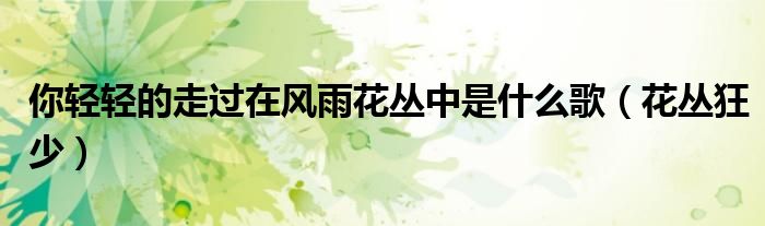 你輕輕的走過在風雨花叢中是什么歌（花叢狂少）