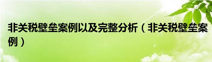 非關稅壁壘案例以及完整分析（非關稅壁壘案例）