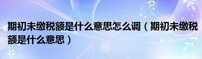 期初未繳稅額是什么意思怎么調(diào)（期初未繳稅額是什么意思）