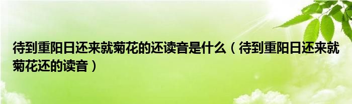 待到重陽日還來就菊花的還讀音是什么（待到重陽日還來就菊花還的讀音）