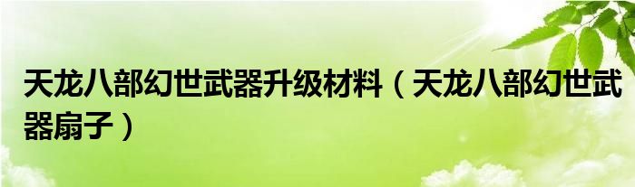 天龍八部幻世武器升級(jí)材料（天龍八部幻世武器扇子）