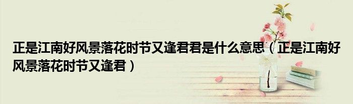 正是江南好風(fēng)景落花時(shí)節(jié)又逢君君是什么意思（正是江南好風(fēng)景落花時(shí)節(jié)又逢君）