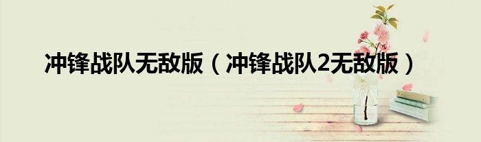 沖鋒戰(zhàn)隊無敵版（沖鋒戰(zhàn)隊2無敵版）