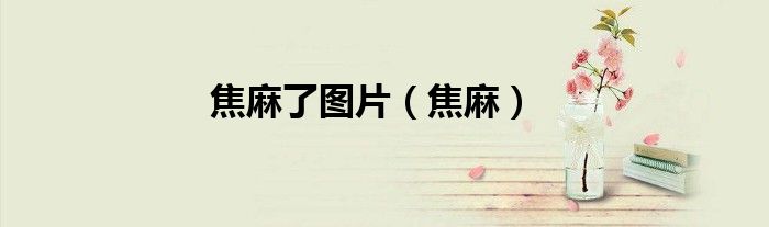 焦麻了圖片（焦麻）