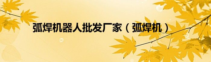 弧焊機器人批發(fā)廠家（弧焊機）