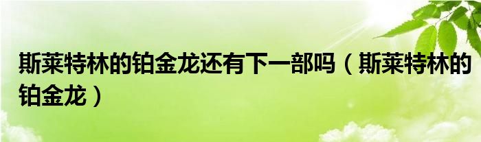 斯萊特林的鉑金龍還有下一部嗎（斯萊特林的鉑金龍）