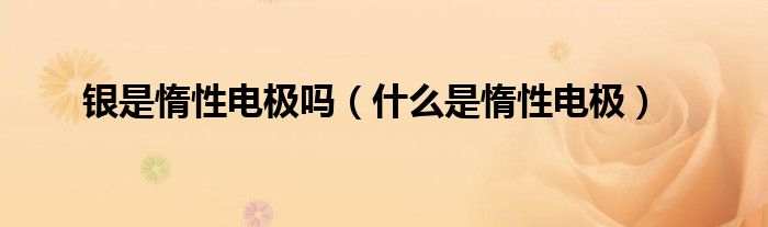 銀是惰性電極嗎（什么是惰性電極）