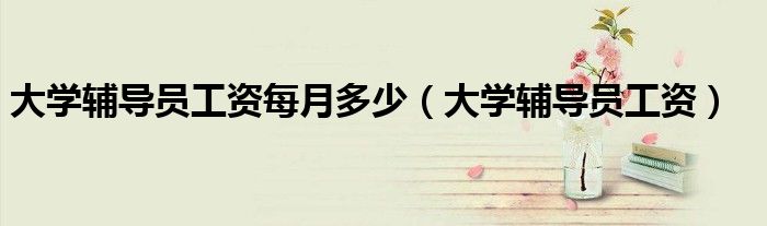 大學(xué)輔導(dǎo)員工資每月多少（大學(xué)輔導(dǎo)員工資）