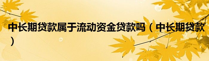 中長(zhǎng)期貸款屬于流動(dòng)資金貸款嗎（中長(zhǎng)期貸款）