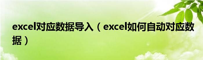 excel對(duì)應(yīng)數(shù)據(jù)導(dǎo)入（excel如何自動(dòng)對(duì)應(yīng)數(shù)據(jù)）