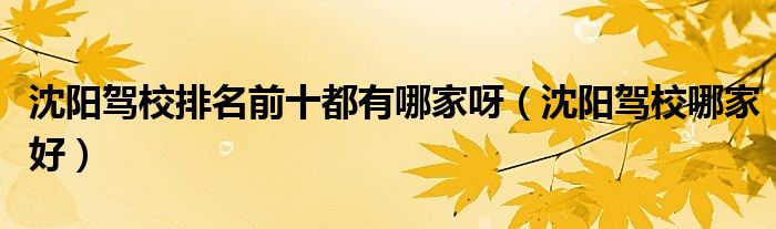 沈陽(yáng)駕校排名前十都有哪家呀（沈陽(yáng)駕校哪家好）