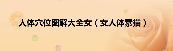 人體穴位圖解大全女（女人體素描）