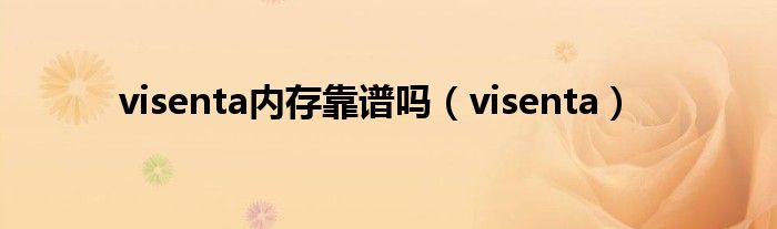 visenta內(nèi)存靠譜嗎（visenta）