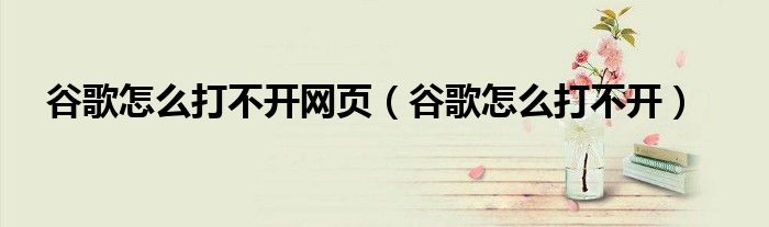 谷歌怎么打不開網(wǎng)頁(yè)（谷歌怎么打不開）