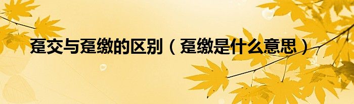 躉交與躉繳的區(qū)別（躉繳是什么意思）