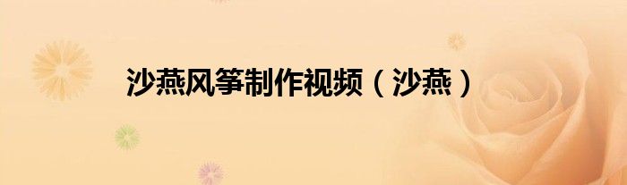 沙燕風(fēng)箏制作視頻（沙燕）