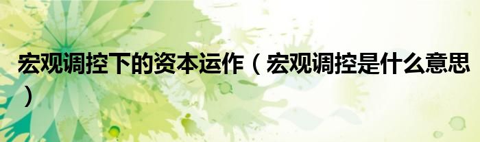 宏觀調(diào)控下的資本運(yùn)作（宏觀調(diào)控是什么意思）