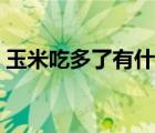 玉米吃多了有什么危害（玉米吃多了會(huì)胖嗎）