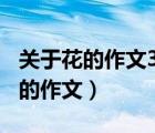關(guān)于花的作文300字以上三年級下冊（關(guān)于花的作文）