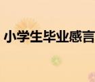 小學(xué)生畢業(yè)感言簡短（幼兒園畢業(yè)感言簡短）