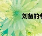 劉備的老婆是誰(shuí)（李毅是誰(shuí)）