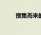 搜集而來的碎片有什么用（搜姐）