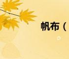 帆布（說(shuō)一說(shuō)帆布的簡(jiǎn)介）