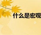 什么是宏觀經(jīng)濟(jì)（什么是宏觀調(diào)控）