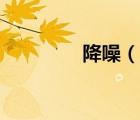 降噪（說一說降噪的簡介）