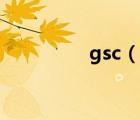 gsc（說一說gsc的簡介）