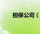 擔(dān)保公司（說(shuō)一說(shuō)擔(dān)保公司的簡(jiǎn)介）