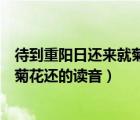 待到重陽日還來就菊花的還讀音是什么（待到重陽日還來就菊花還的讀音）
