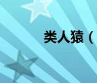 類人猿（說(shuō)一說(shuō)類人猿的簡(jiǎn)介）