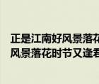 正是江南好風(fēng)景落花時(shí)節(jié)又逢君君是什么意思（正是江南好風(fēng)景落花時(shí)節(jié)又逢君）