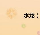 水龍（說一說水龍的簡介）