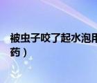 被蟲子咬了起水泡用什么藥涂好（被蟲子咬了起水泡用什么藥）