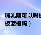 哺乳期可以喝板藍根嗎怎么喝（哺乳期可以喝板藍根嗎）