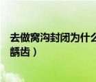 去做窩溝封閉為什么變補牙了（做了窩溝封閉為什么還會有齲齒）
