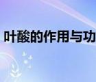 葉酸的作用與功效備孕（葉酸的作用與功效）
